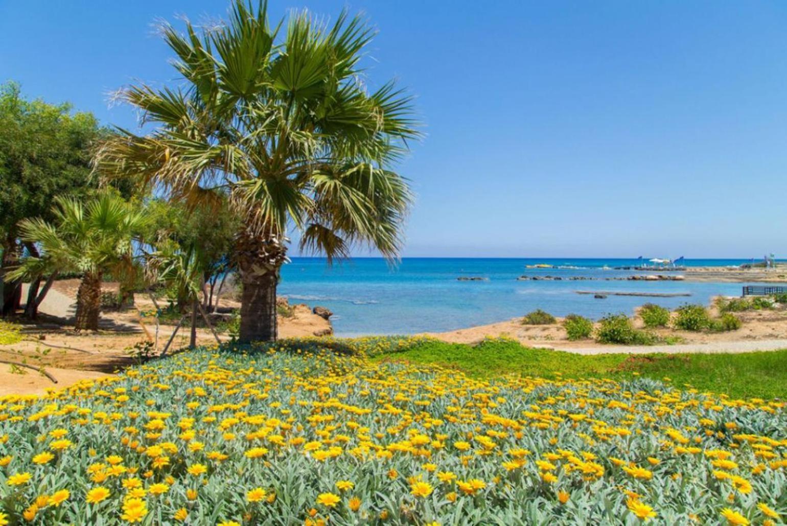 Villa Constantinos Kato Yialia Kültér fotó